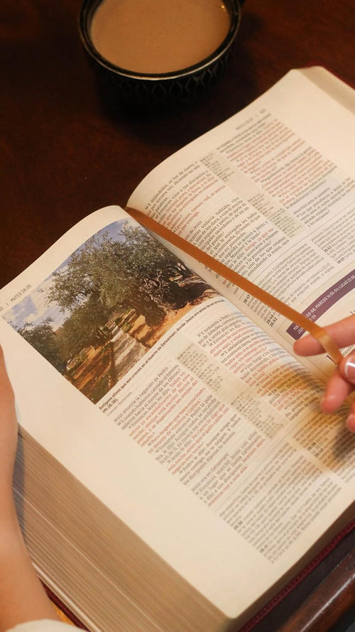 Biblia (RVR) de estudio trasfondo cultural, LeatherSoft™ Rojo Vino: Explora el mundo antiguo de la Escritura