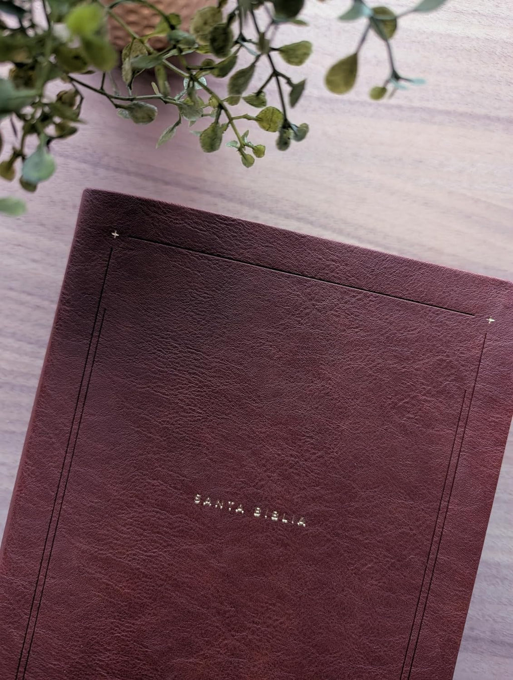 Biblia de Estudio del Diario Vivir (NTV), Sentipiel Café