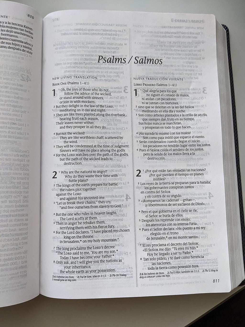 Bilingual Bible / Biblia bilingüe NLT/NTV, Sentipiel Negro