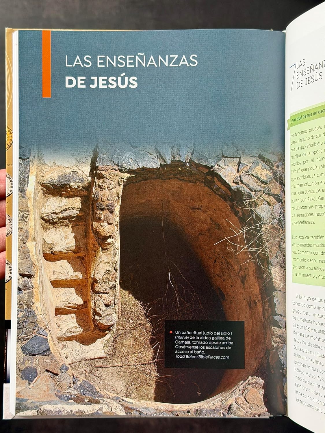 Nuevo Testamento en la Antigüedad: Un estudio del Nuevo Testamento en su contexto cultural