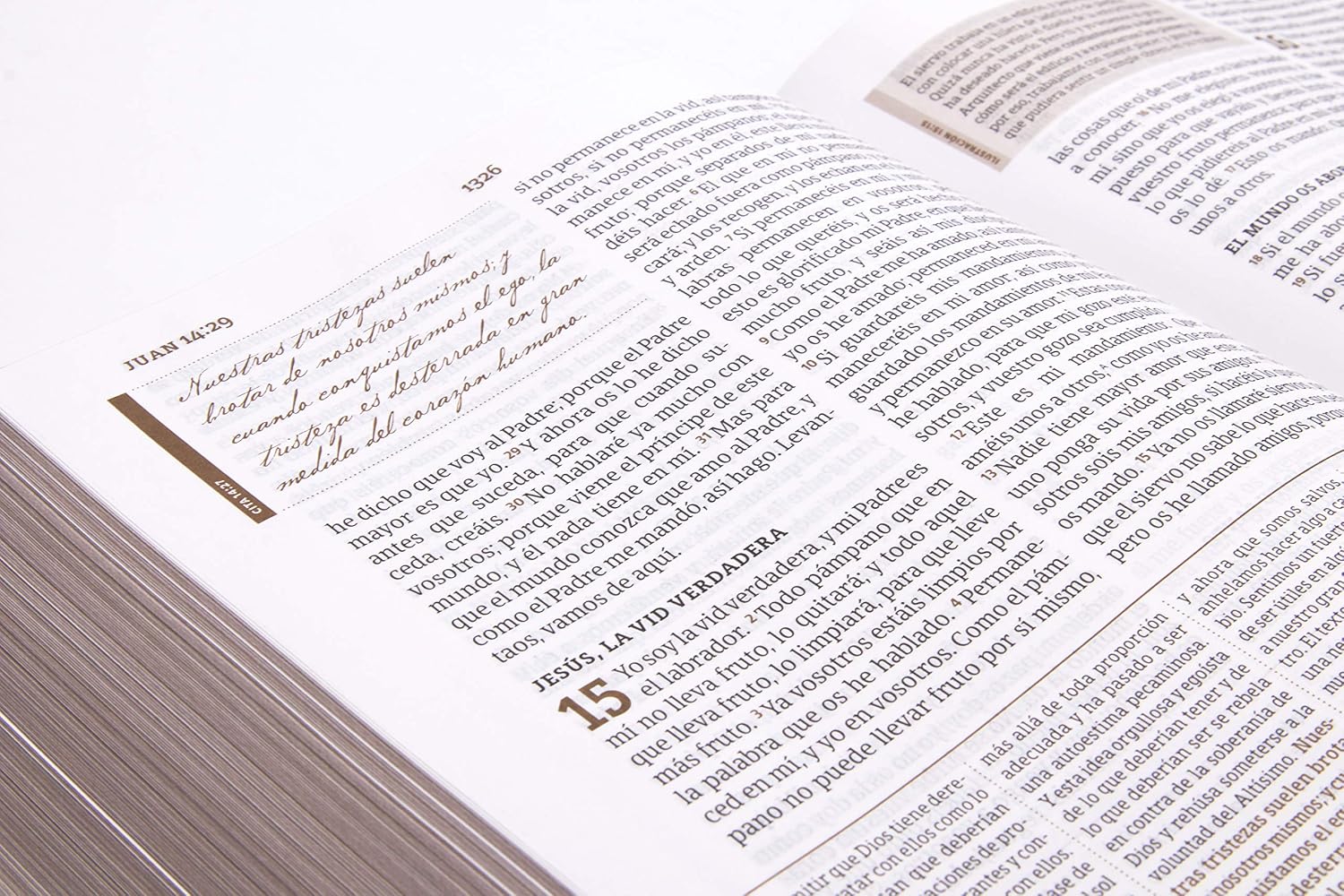 Biblia de Estudio Spurgeon (RV60), Negro Piel Genuina