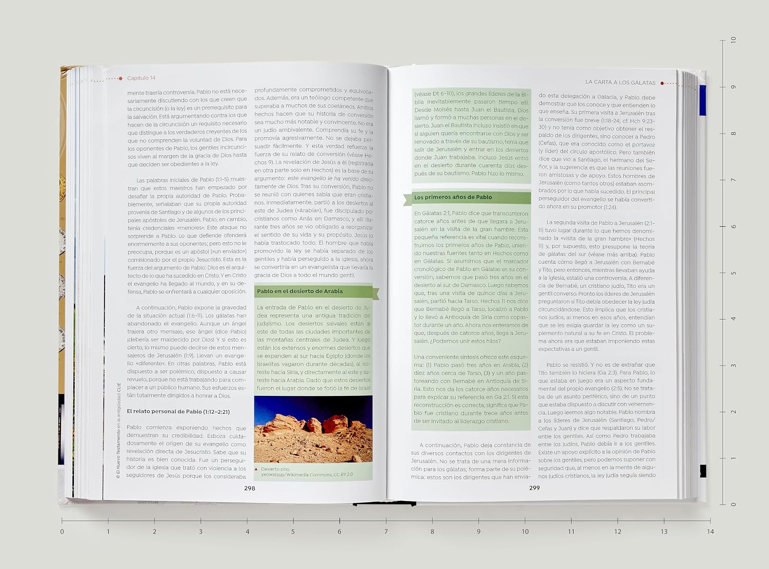 Nuevo Testamento en la Antigüedad: Un estudio del Nuevo Testamento en su contexto cultural