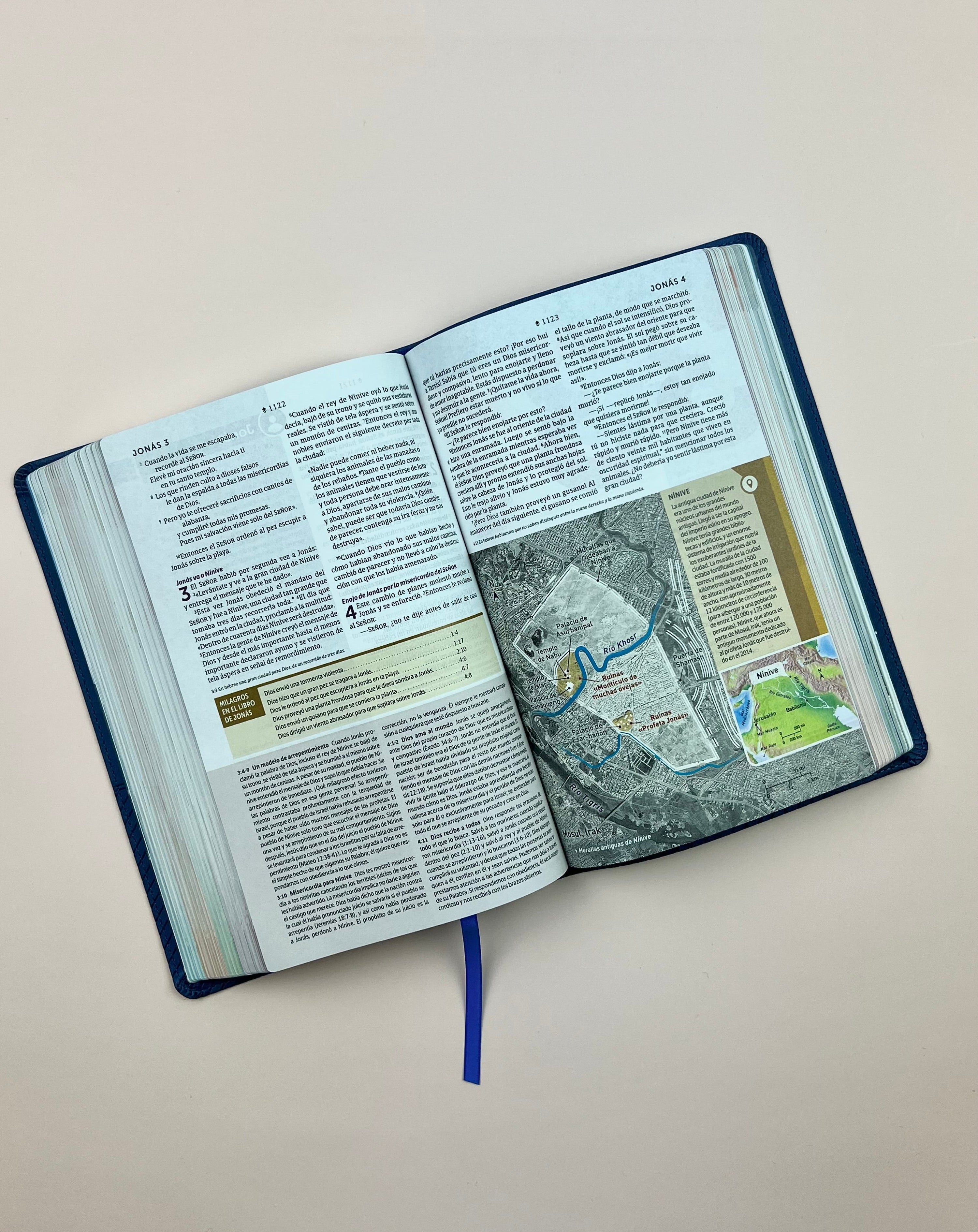 Biblia de Estudio del Diario Vivir para Jóvenes (NTV), SentiPiel™ Azul Marino
