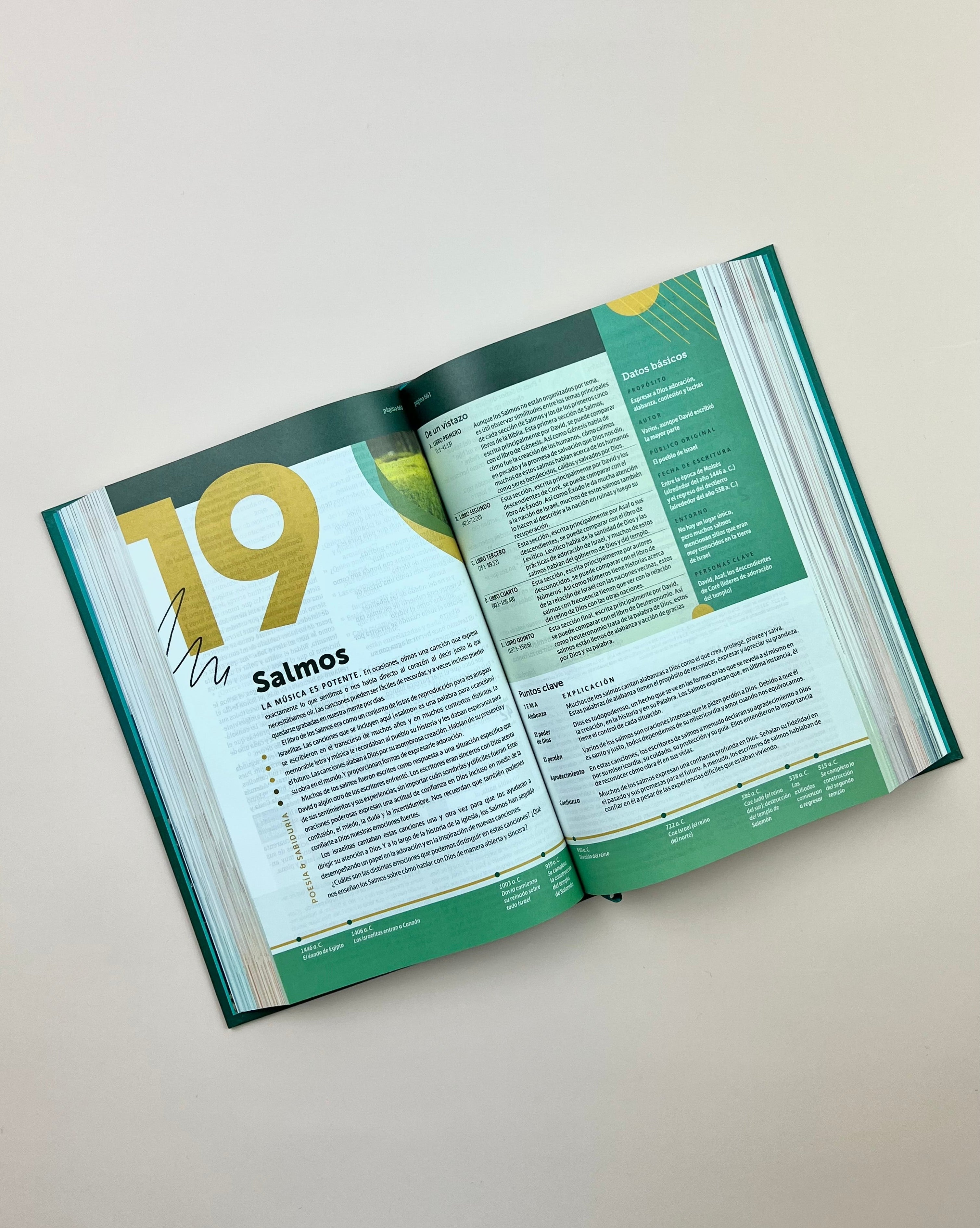 Biblia de Estudio del Diario Vivir para Jóvenes (NTV), Tapa Dura