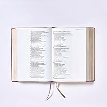 Biblia Ama a Dios Grandemente (NBLA), Leathersoft Turquesa