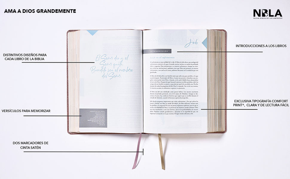 Biblia Ama a Dios Grandemente (NBLA), Leathersoft Turquesa