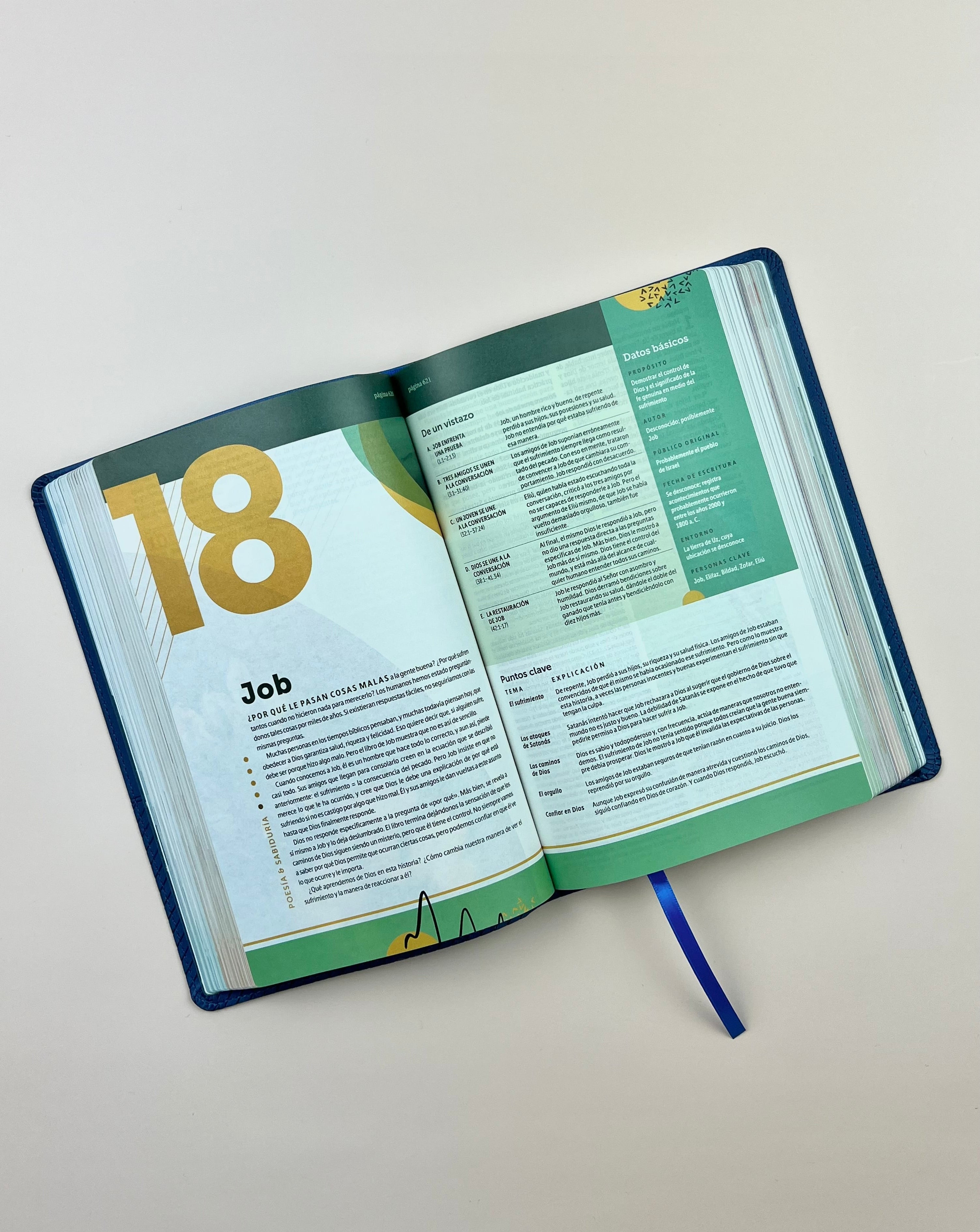 Biblia de Estudio del Diario Vivir para Jóvenes (NTV), SentiPiel™ Azul Marino