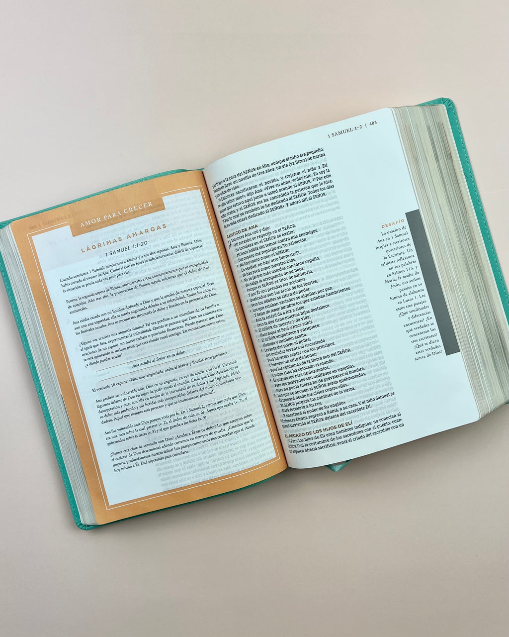 Biblia Ama a Dios Grandemente (NBLA), Leathersoft™ Turquesa