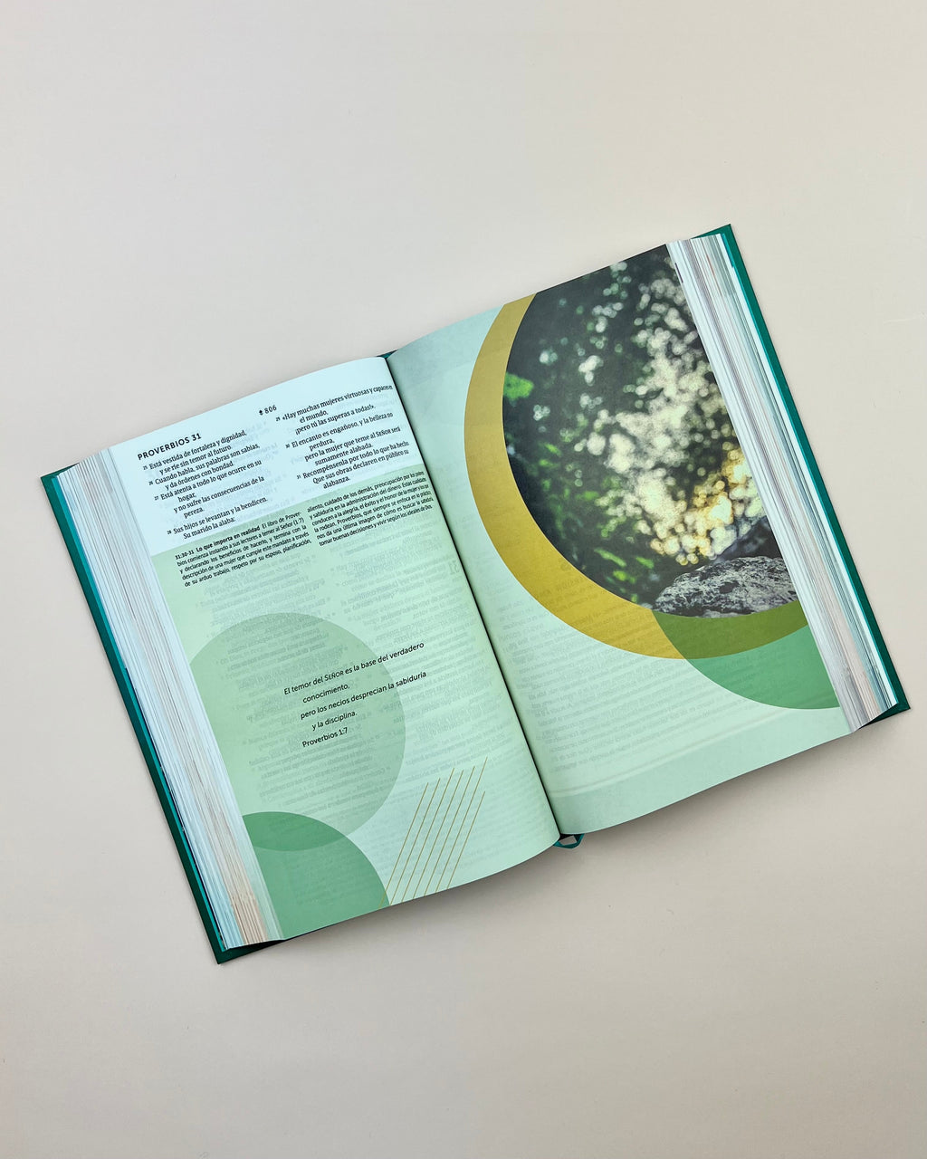 Biblia de Estudio del Diario Vivir para Jóvenes (NTV), Tapa Dura
