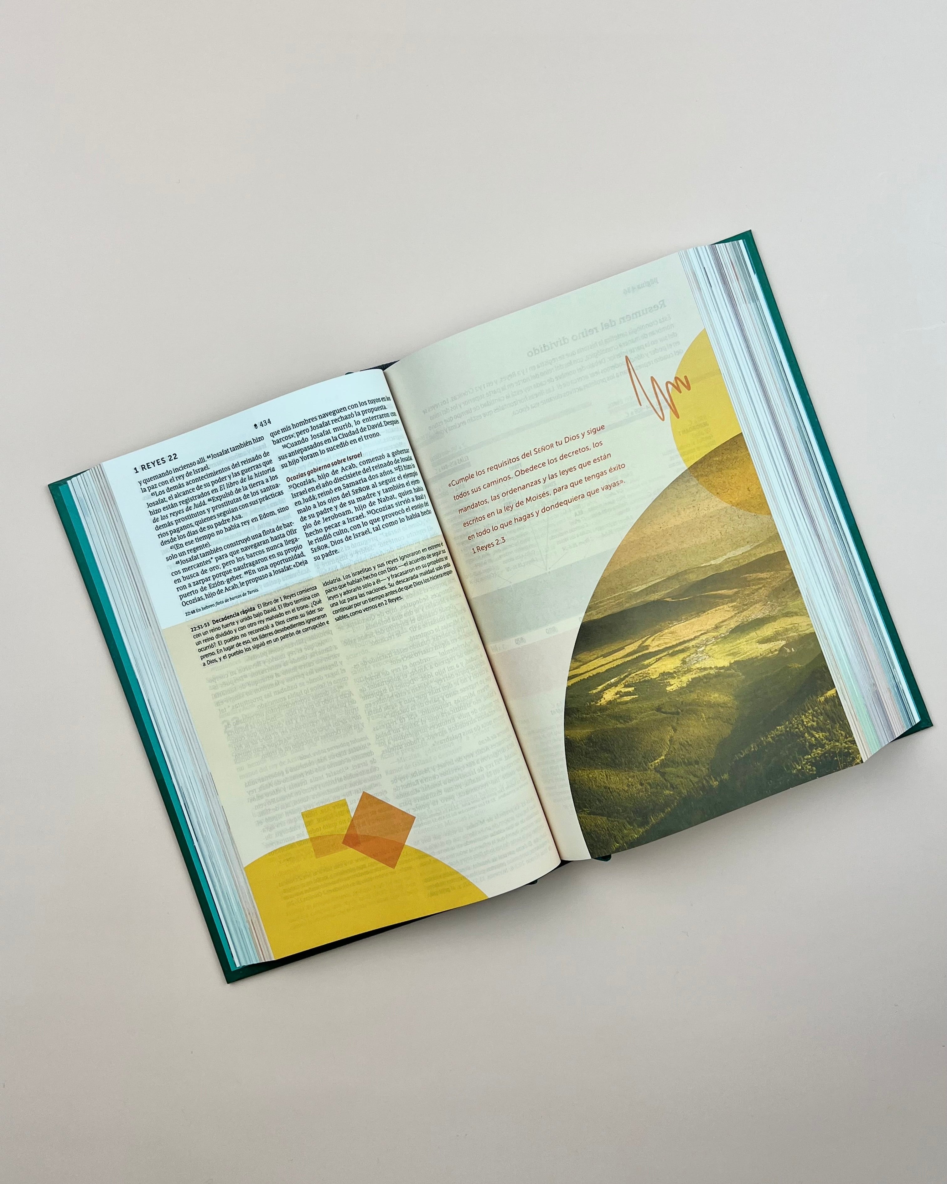 Biblia de Estudio del Diario Vivir para Jóvenes (NTV), Tapa Dura