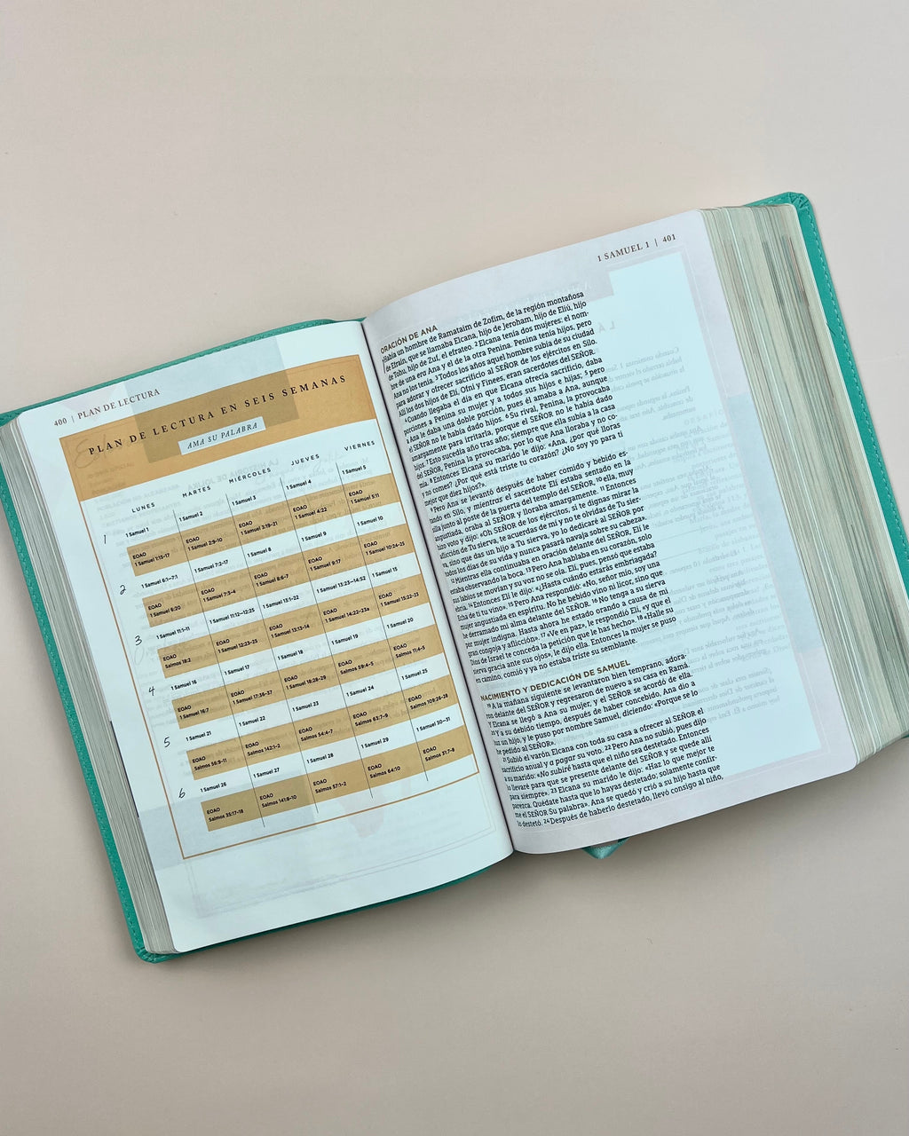 Biblia Ama a Dios Grandemente (NBLA), Leathersoft™ Turquesa