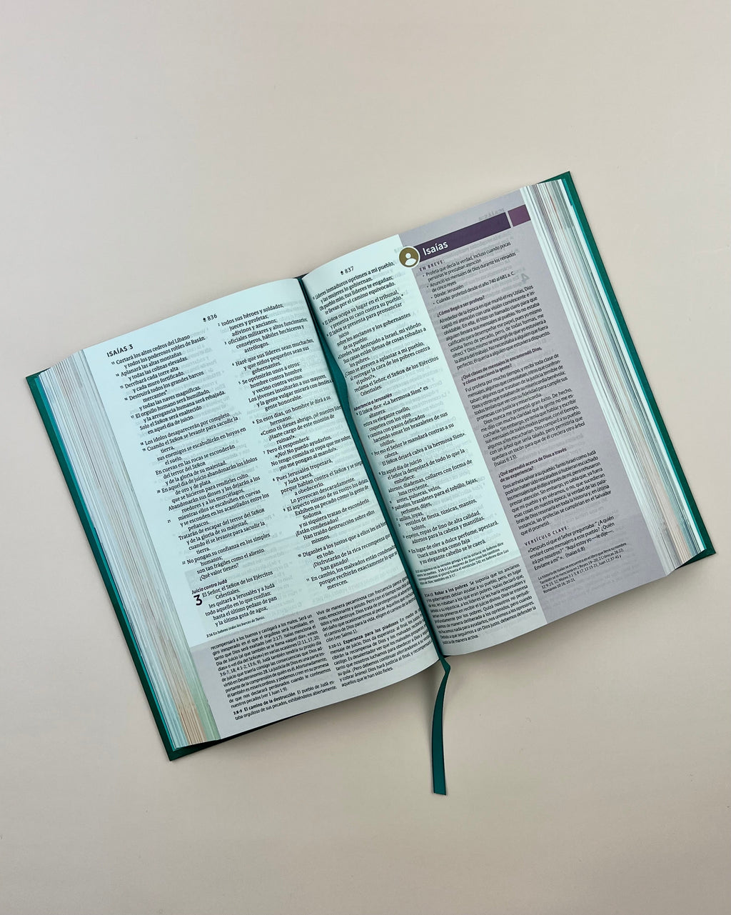 Biblia de Estudio del Diario Vivir para Jóvenes (NTV), Tapa Dura