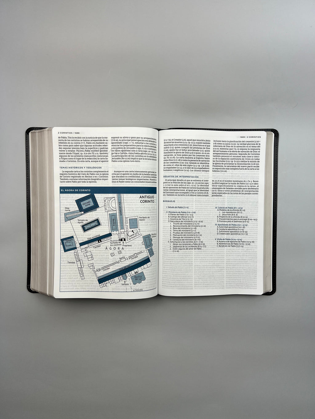 Biblia de Estudio MacArthur (NBLA), LeatherSoft™ Negro