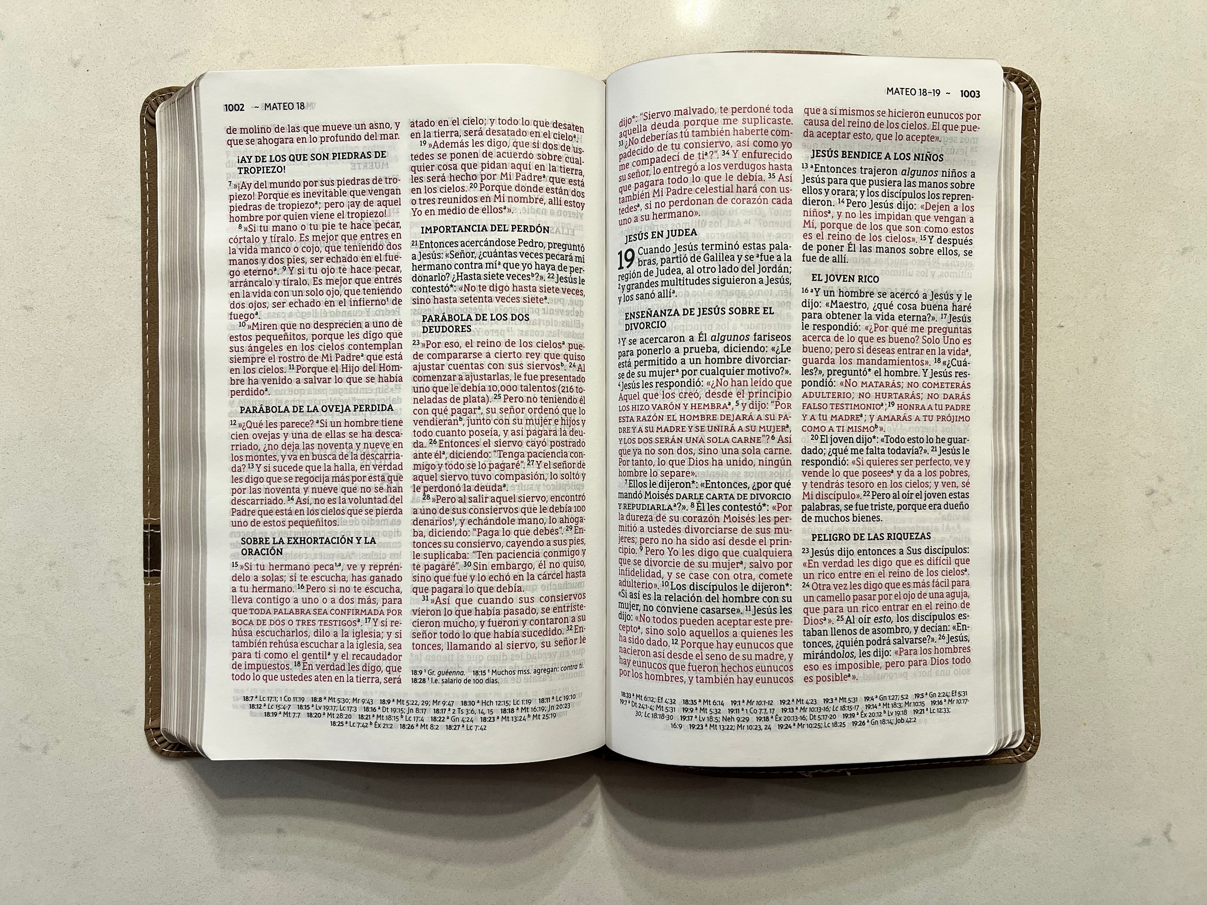 Santa Biblia (NBLA) Ultrafina Letra Grande, Leathersoft™ Beige