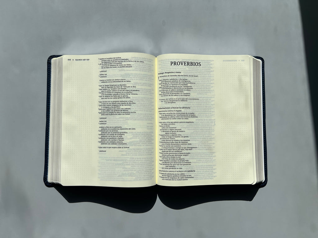 Santa Biblia (NVI) Edición para Notas, Leathersoft™ Azul Marino