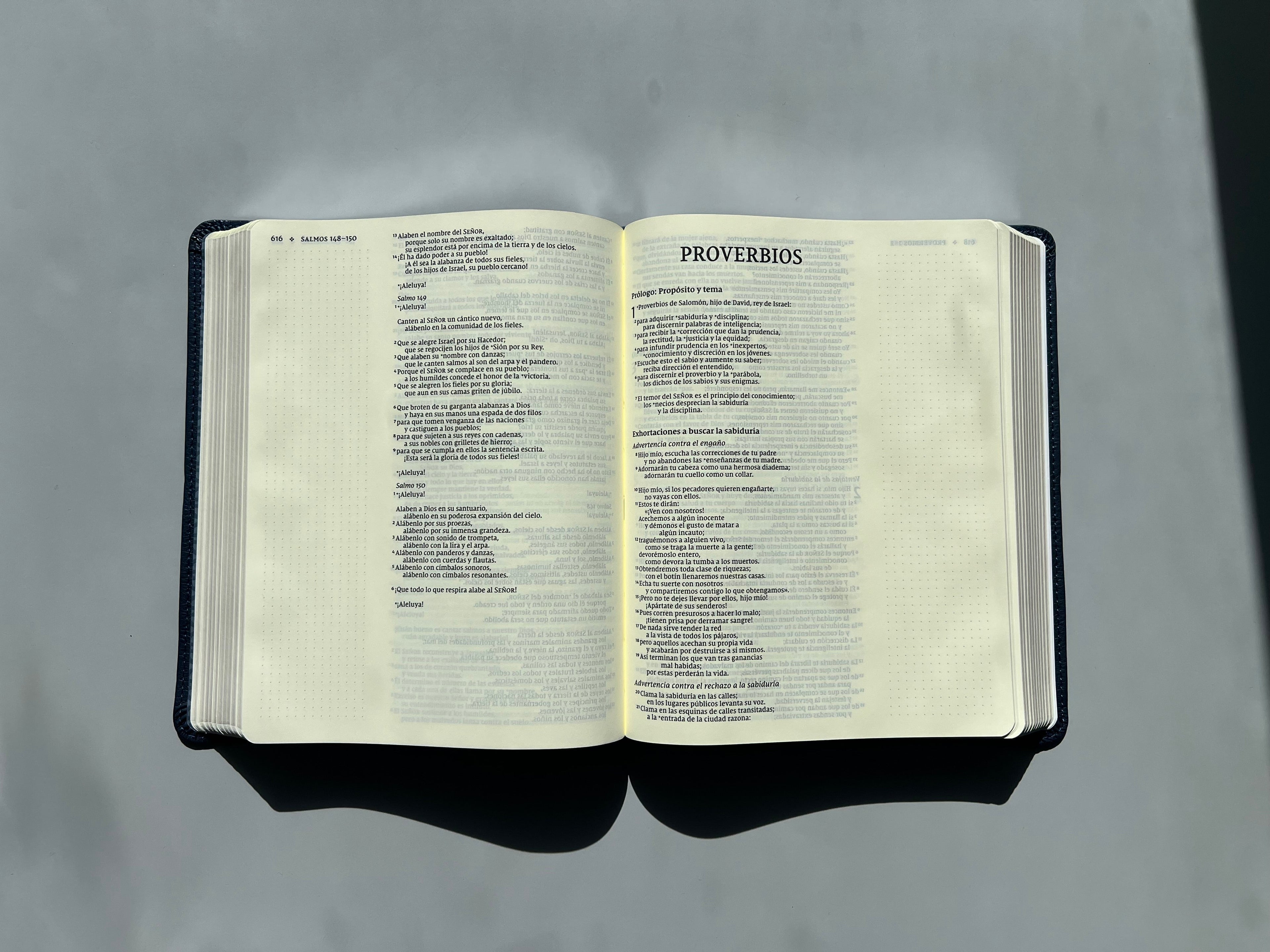 Santa Biblia (NVI) Edición para Notas, Leathersoft™ Azul Marino