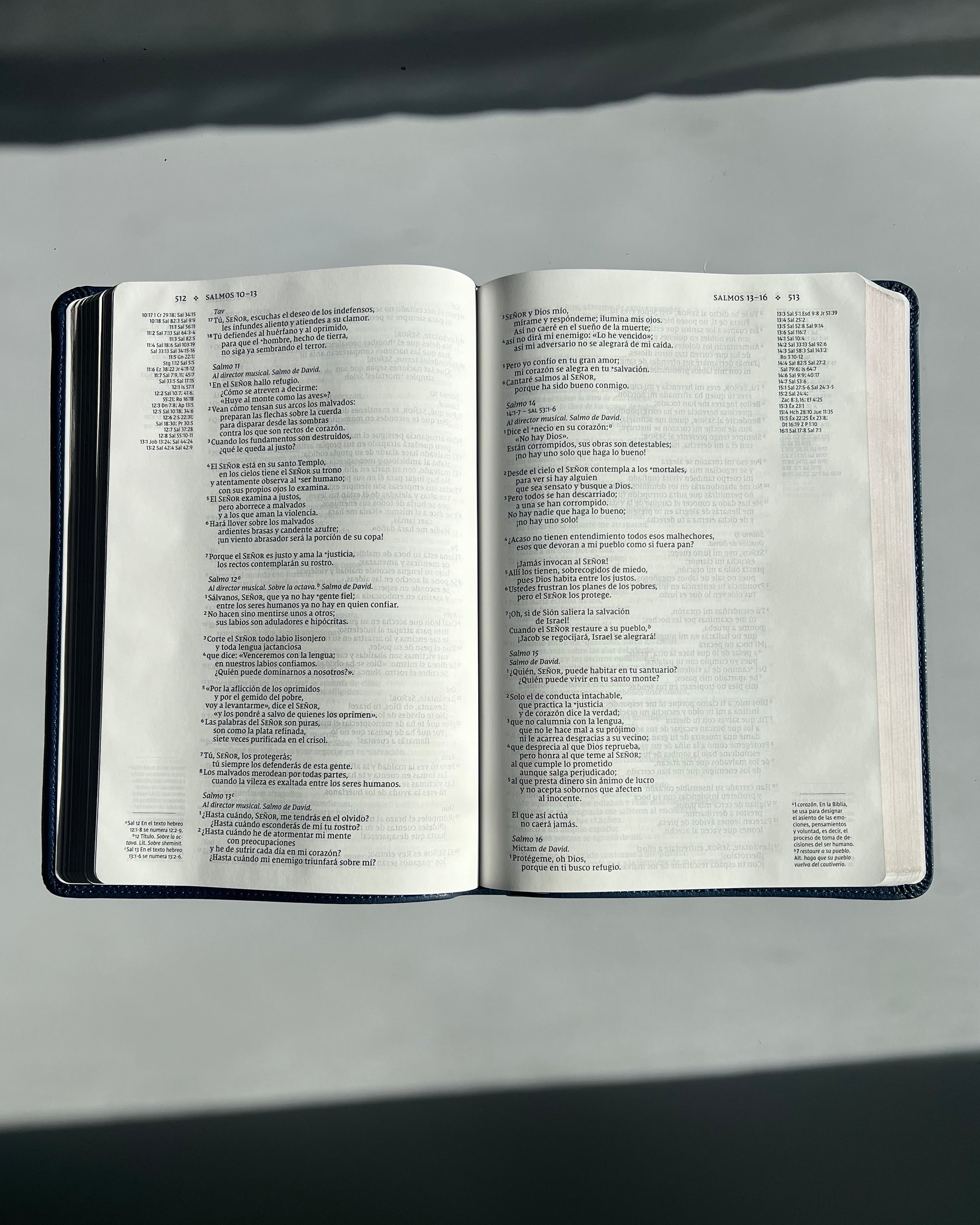 Santa Biblia (NVI) Una Columna con Referencias, Leathersoft™ Azul Marino