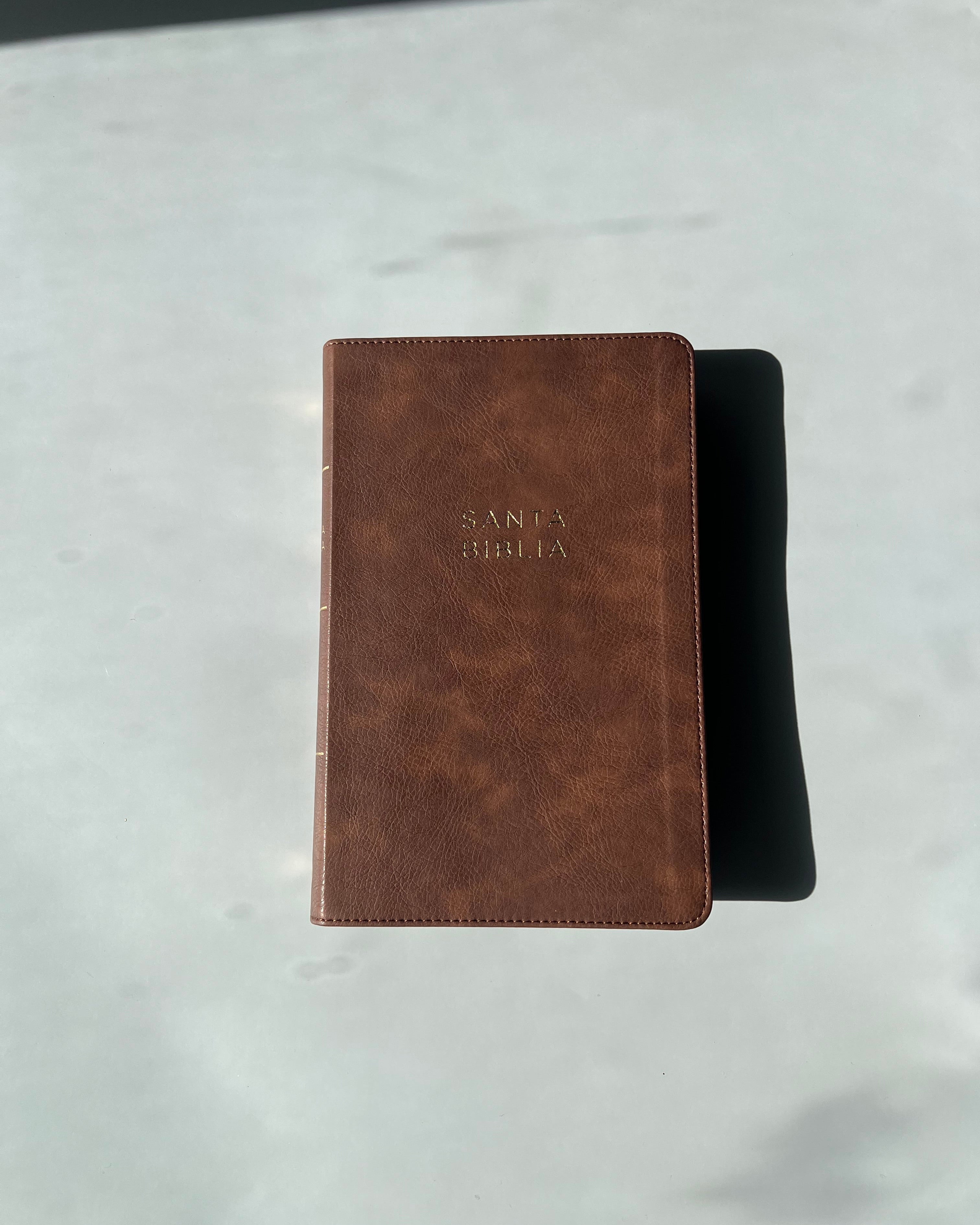 Santa Biblia (NBLA) Ultrafina Letra Grande, Leathersoft™ Café