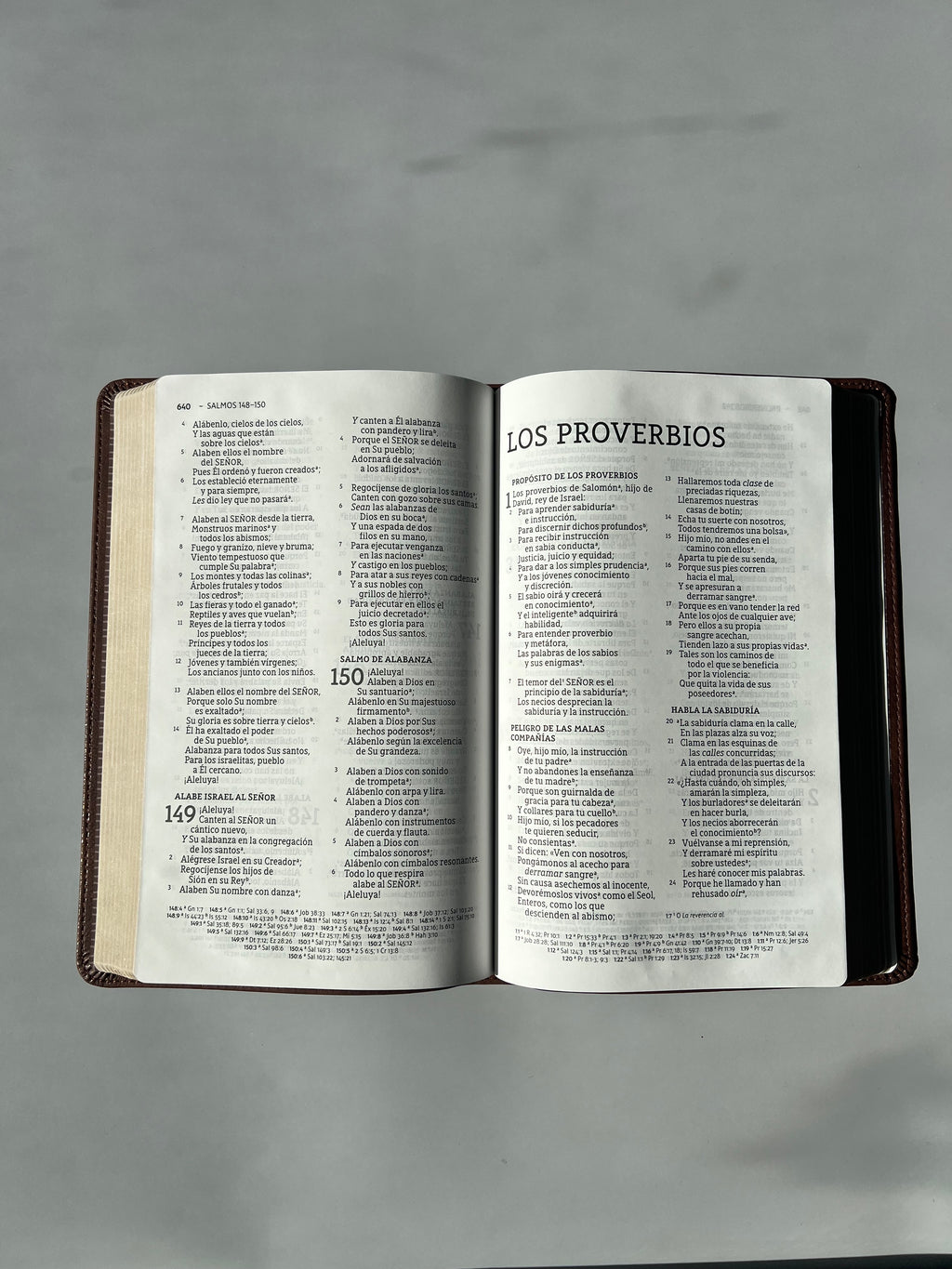 Santa Biblia (NBLA) Ultrafina Letra Grande, Leathersoft™ Café