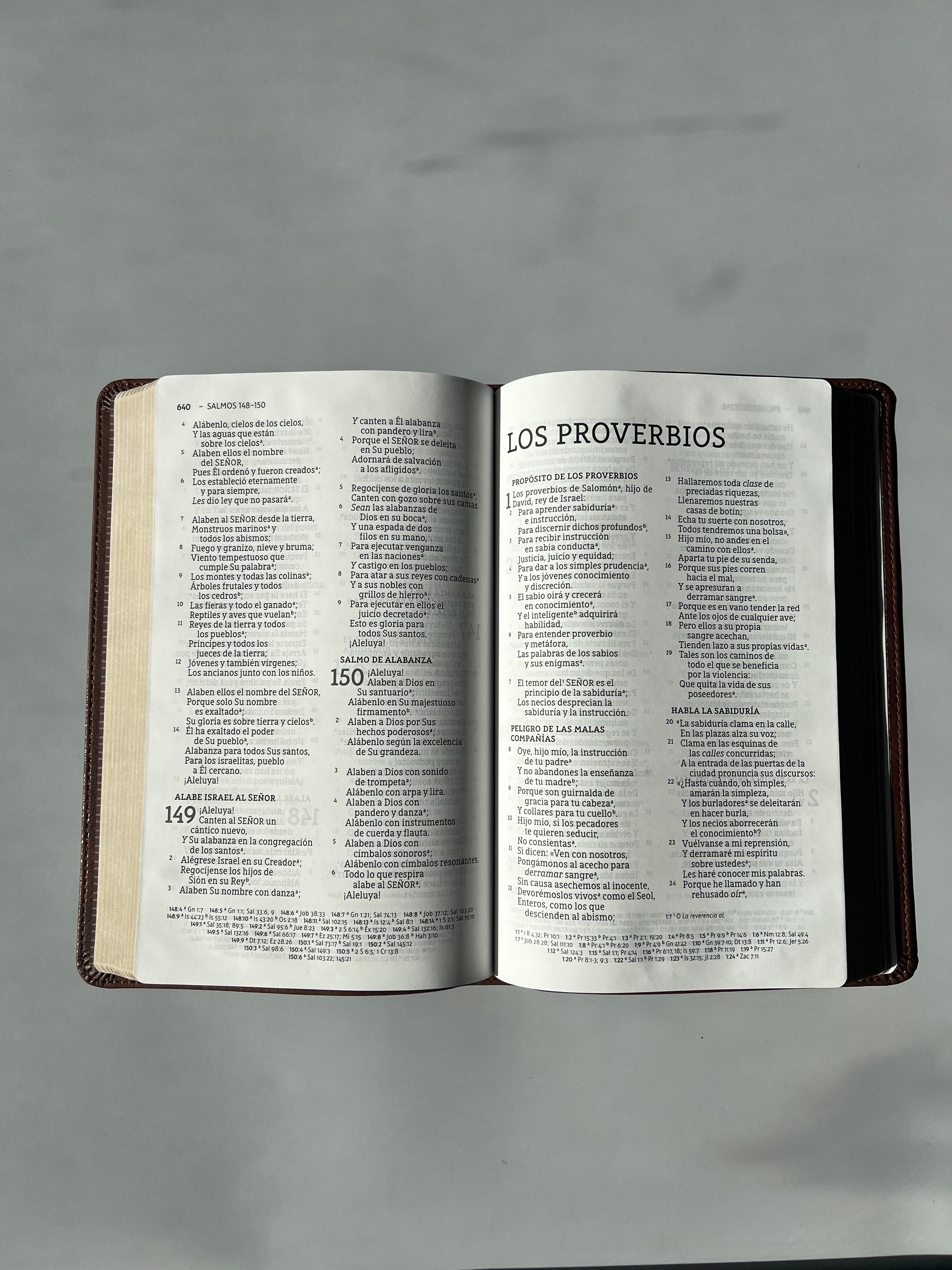 Santa Biblia (NBLA) Ultrafina Letra Grande, Leathersoft™ Café