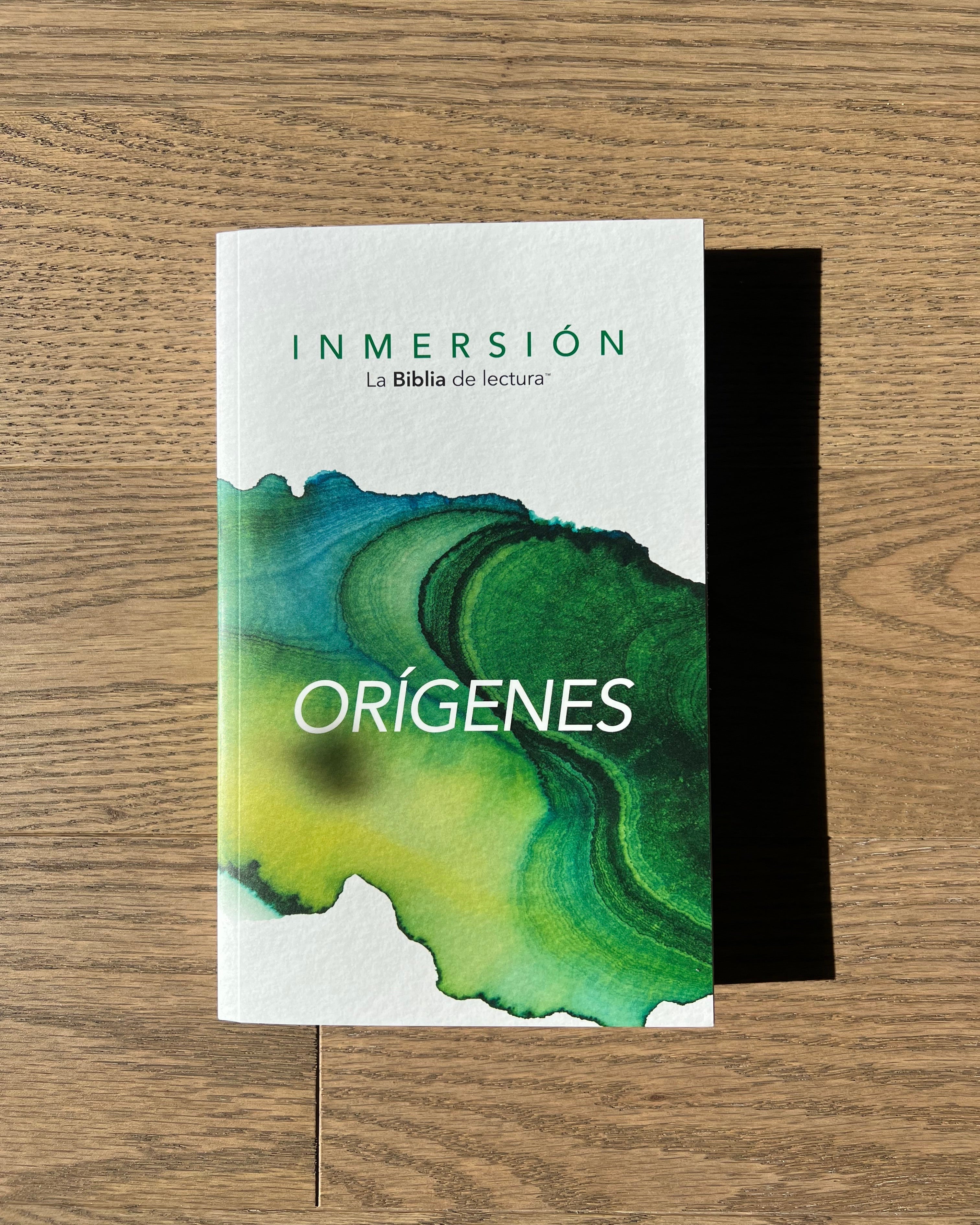 Inmersión: Orígenes