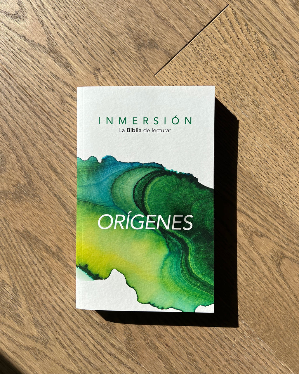 Inmersión: Orígenes