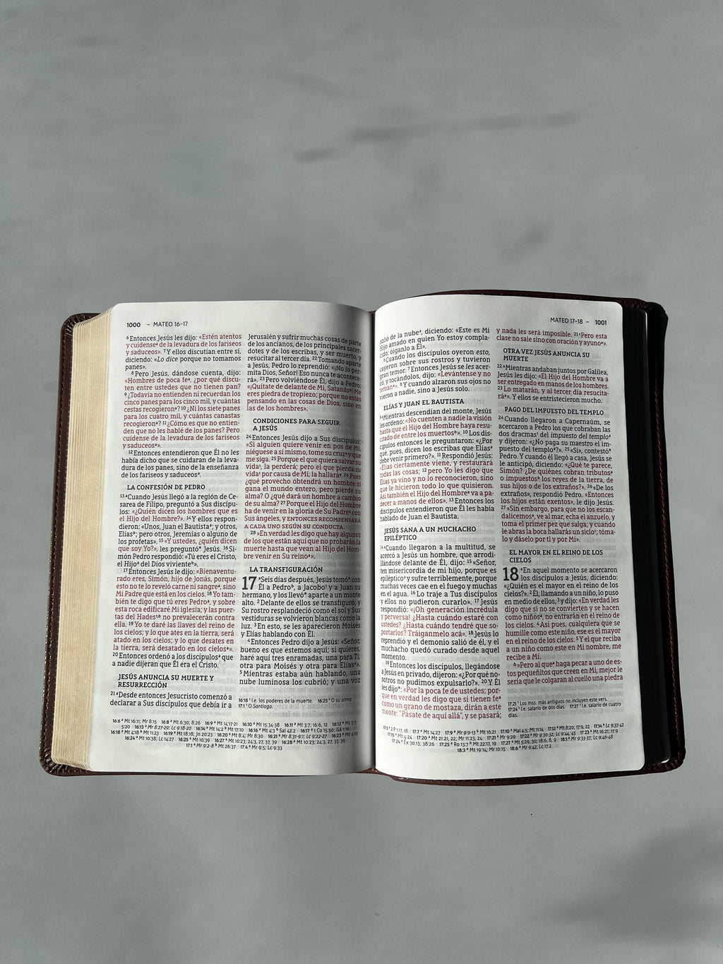Santa Biblia (NBLA) Ultrafina Letra Grande, Leathersoft™ Café