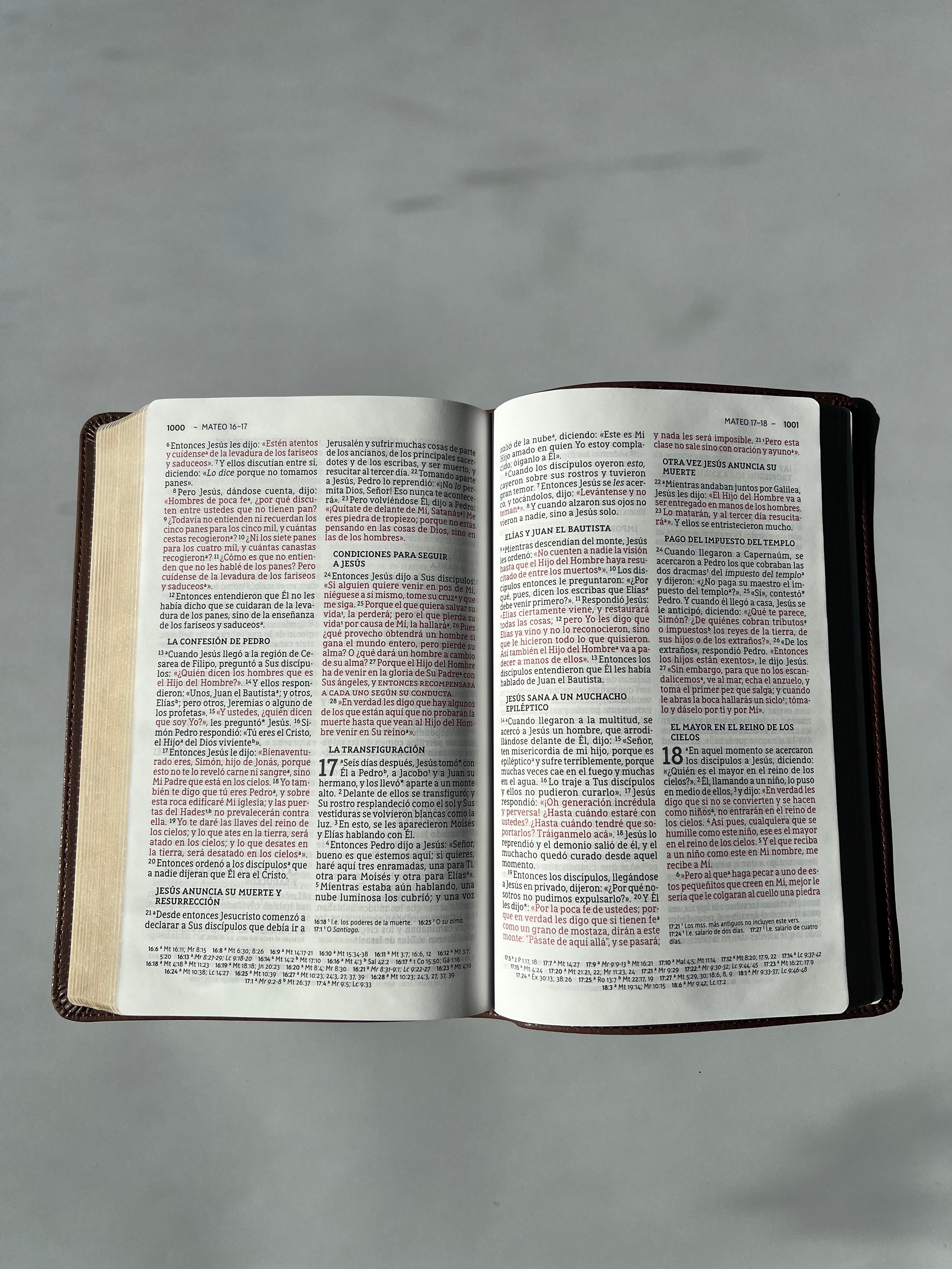 Santa Biblia (NBLA) Ultrafina Letra Grande, Leathersoft™ Café