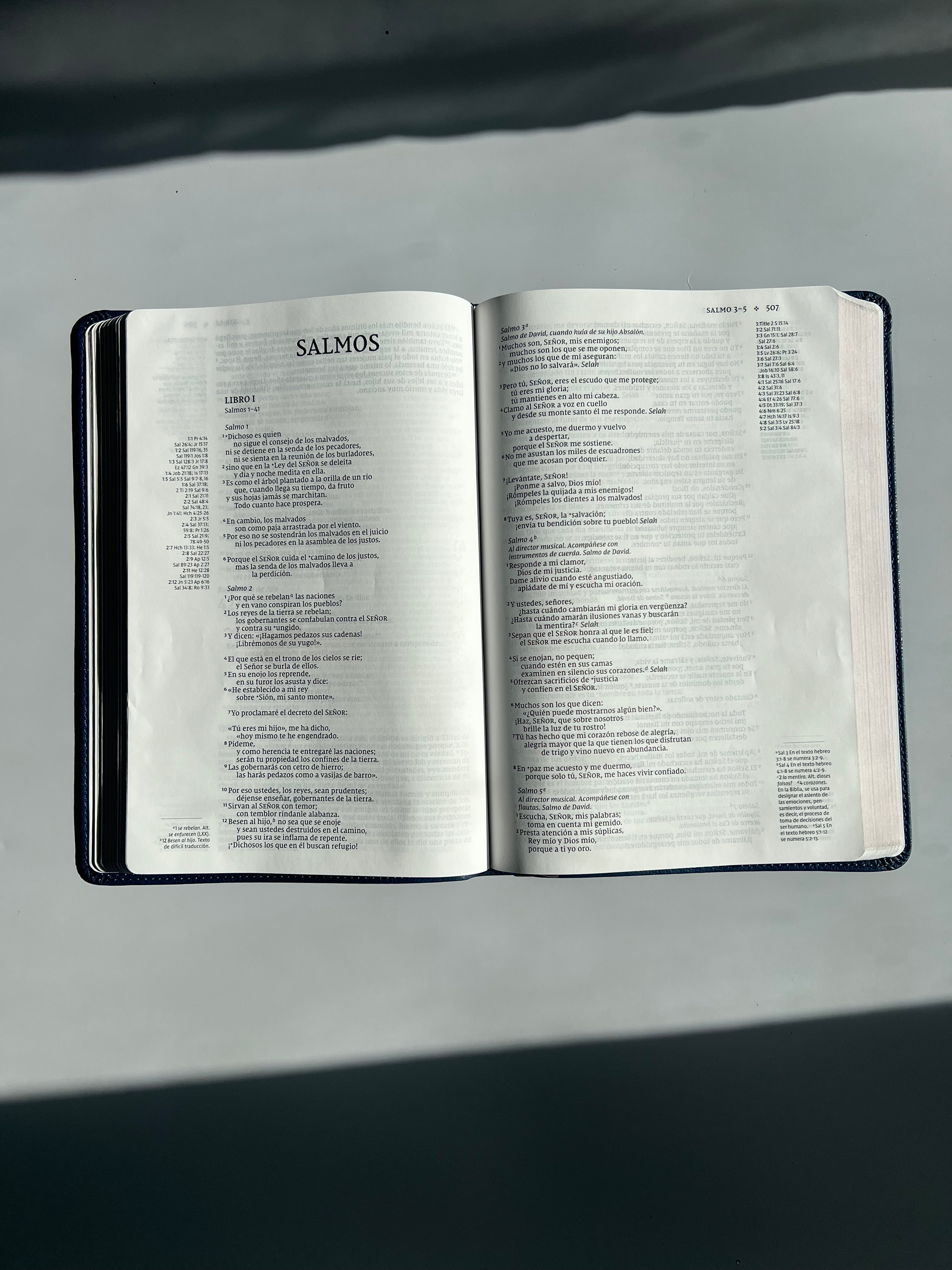 Santa Biblia (NVI) Una Columna con Referencias, Leathersoft™ Azul Marino